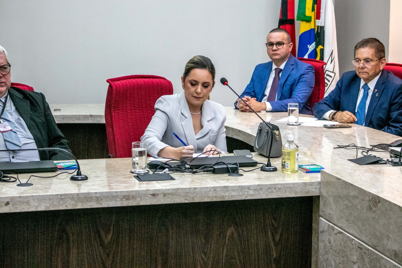 Posse TCE ALANNA Assinatura.jpg